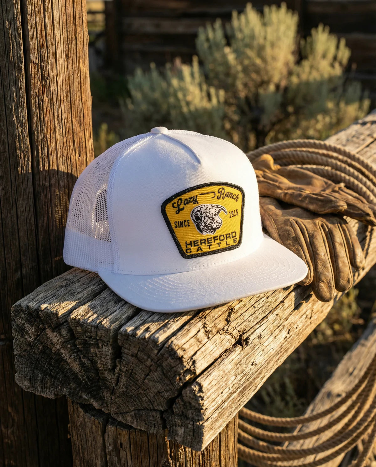 LAZY J RANCH BLACK GOLD
HOT SHOT CLASSIC FIVE
PANEL TRUCKER HAT