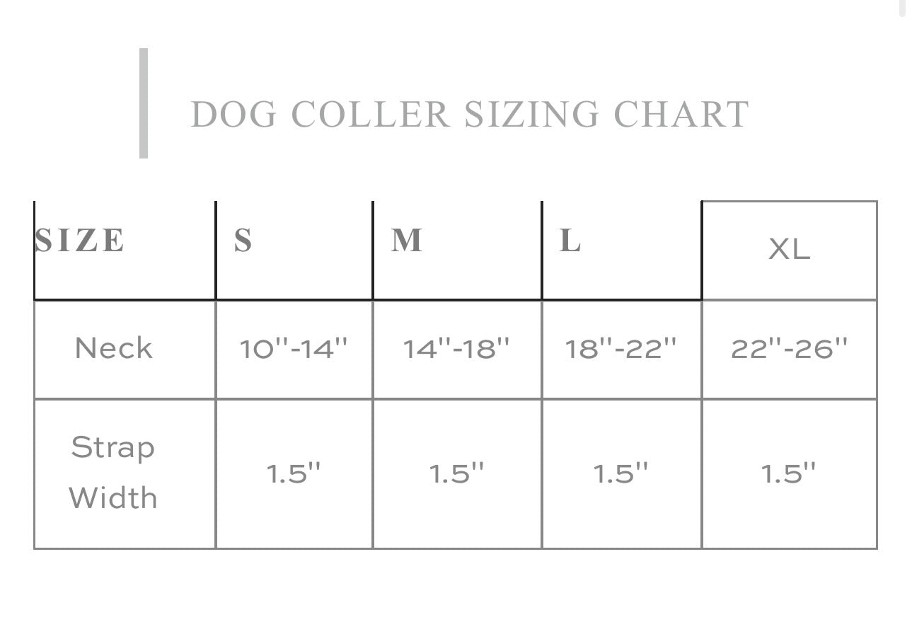 Prairie sunflower dog collar