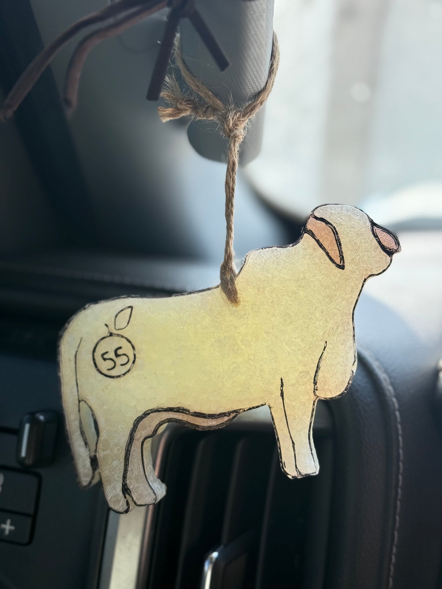 55 Branded Brahman Freshies