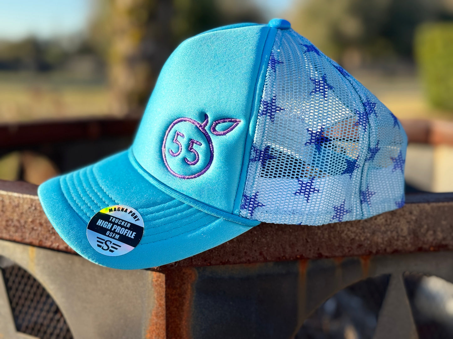 55 Branded purple stars hat