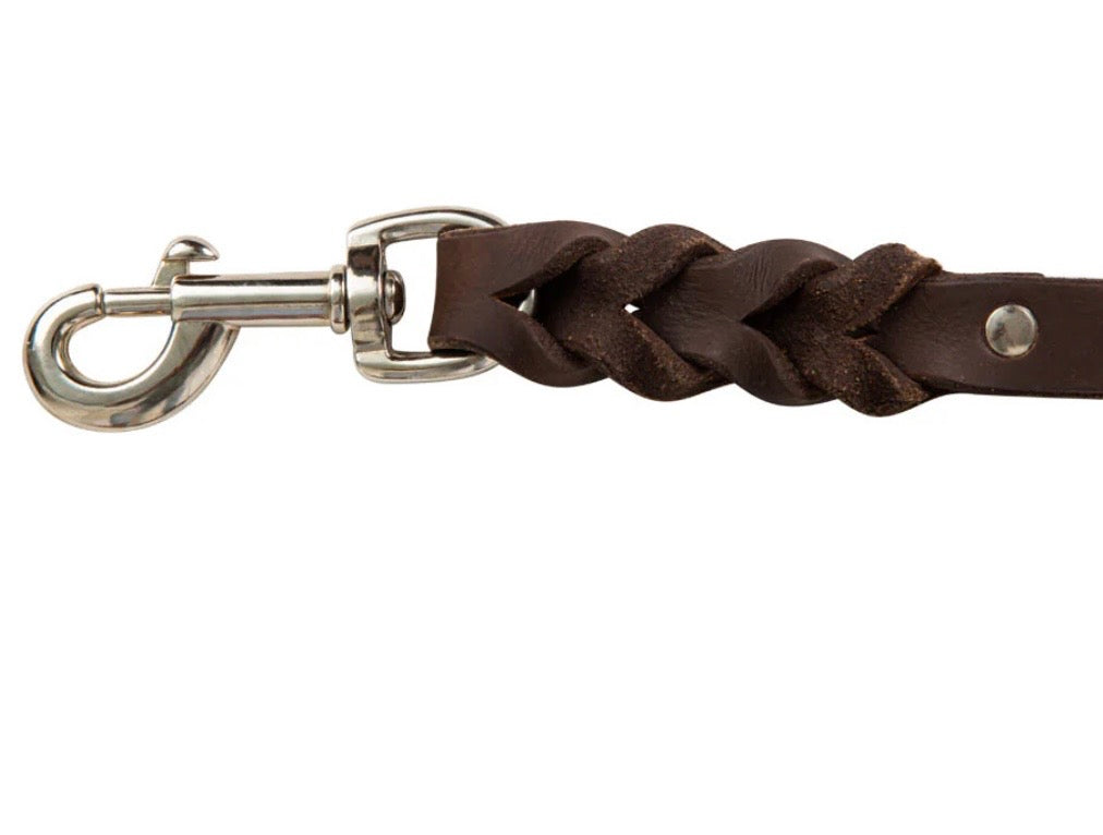 Adventurer leather dog leash