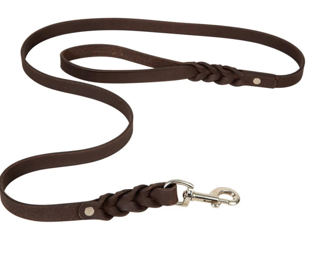 Adventurer leather dog leash