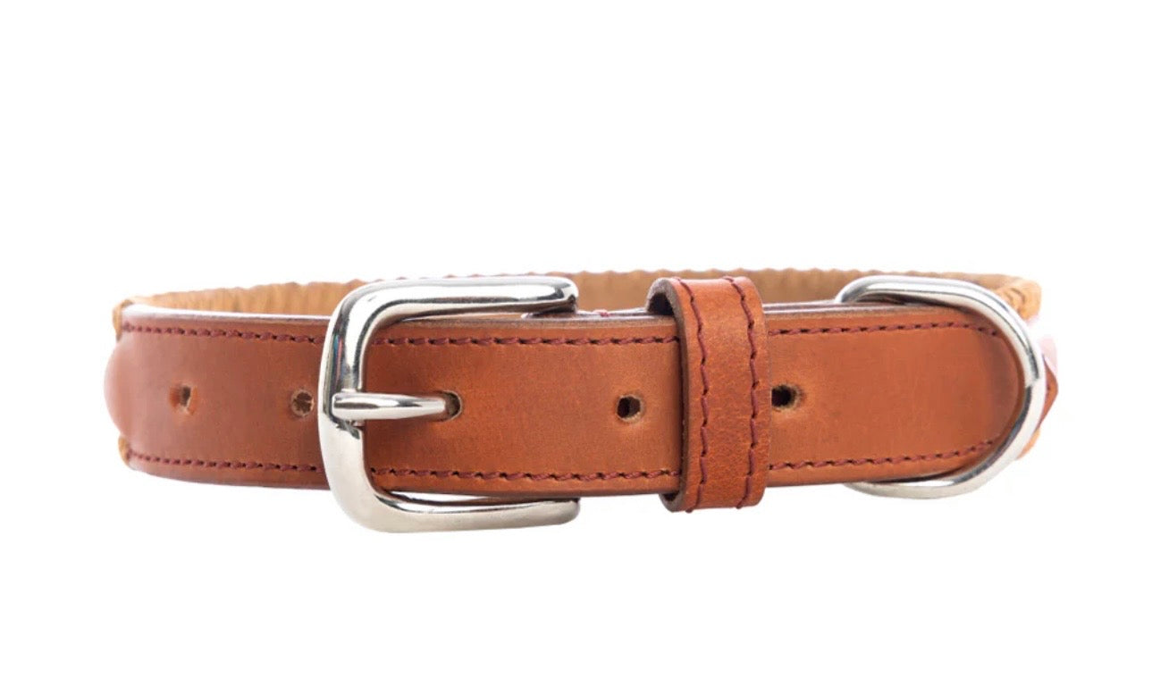 Rio Correr dog collar caramel