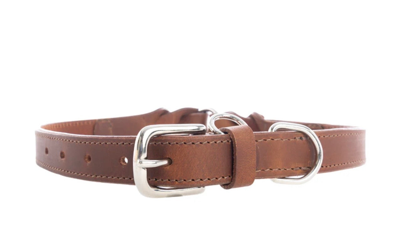 Topside chocolate leather dog collar