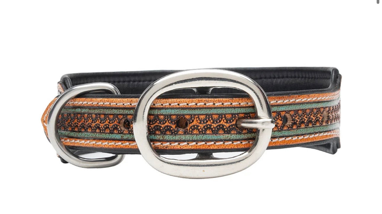 Trusted amigo dog collar