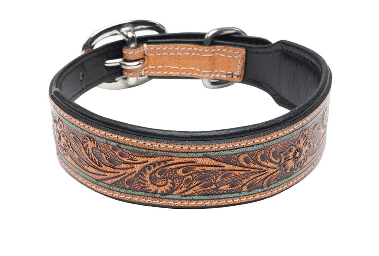 Trusted amigo dog collar
