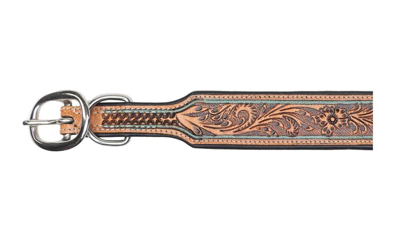 Trusted amigo dog collar