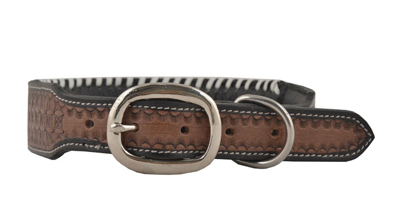Oxy daisy dog collar