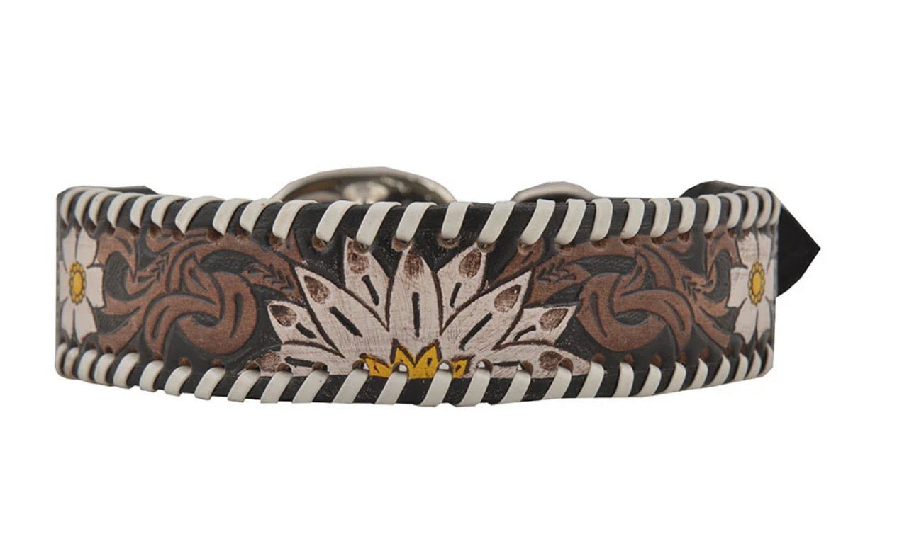 Oxy daisy dog collar