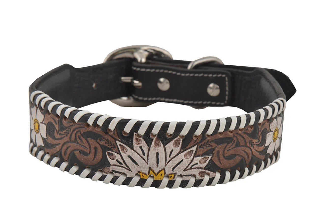 Oxy daisy dog collar