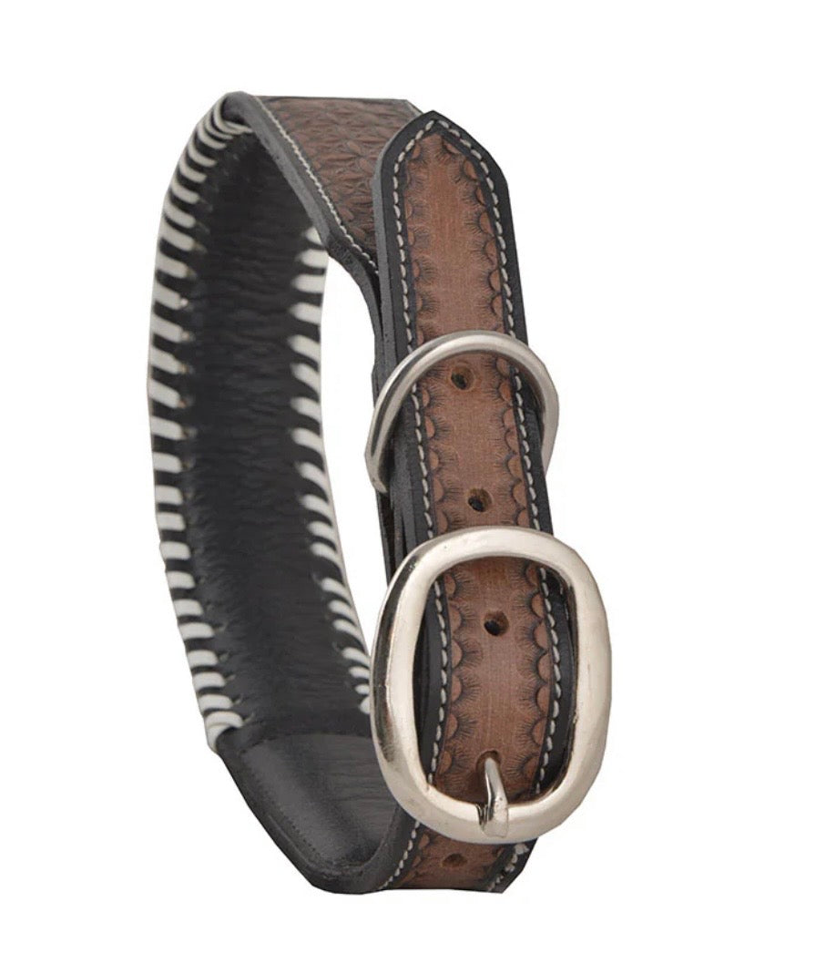 Oxy daisy dog collar