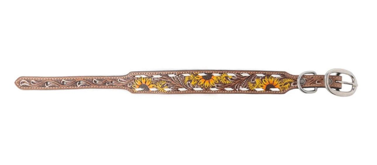 Prairie sunflower dog collar