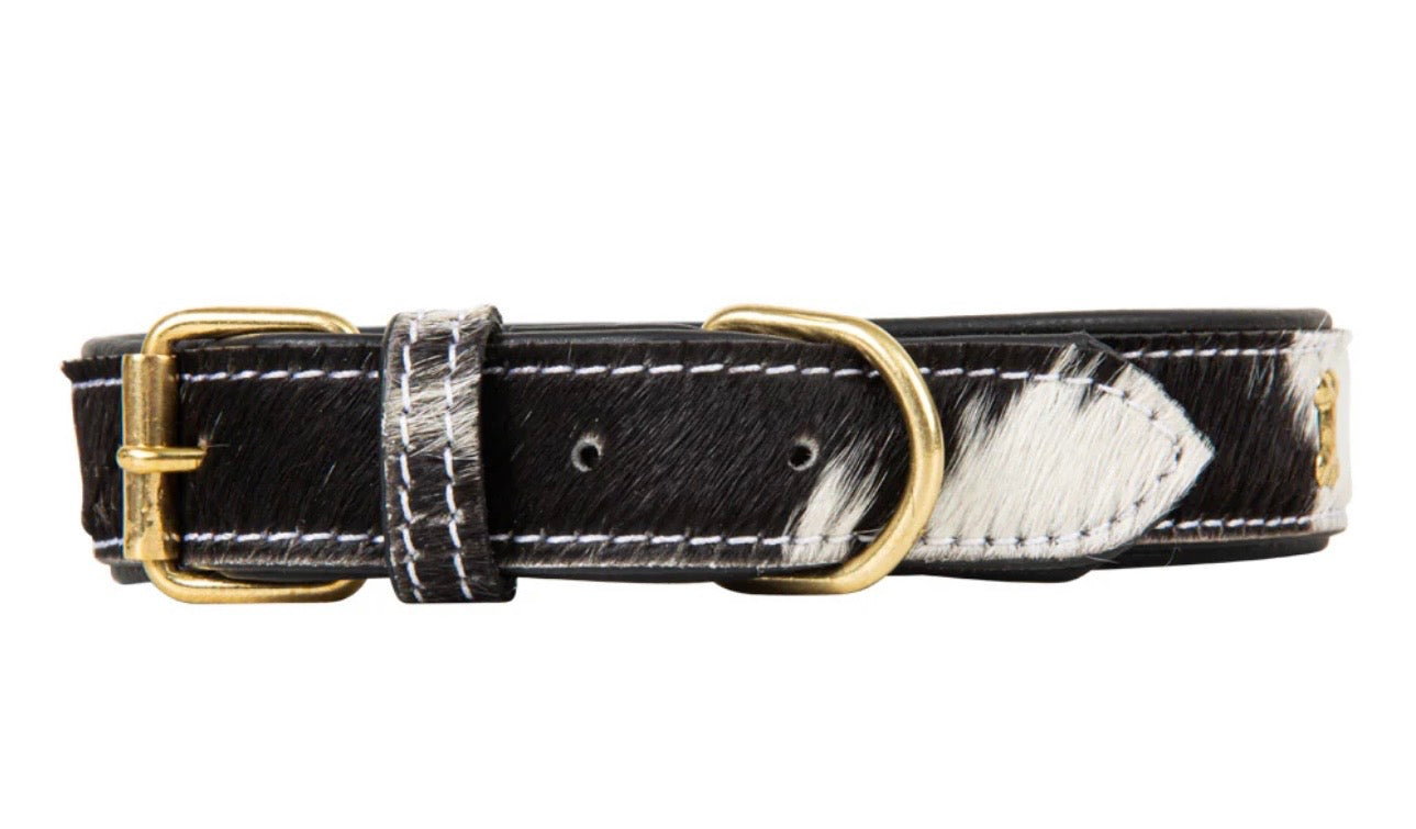 Monterey hide dog collar