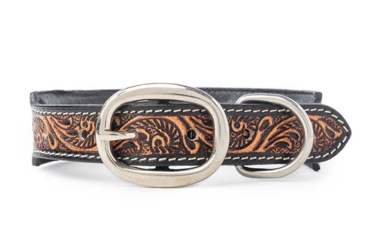 Turquoise trail cowboy dog collar