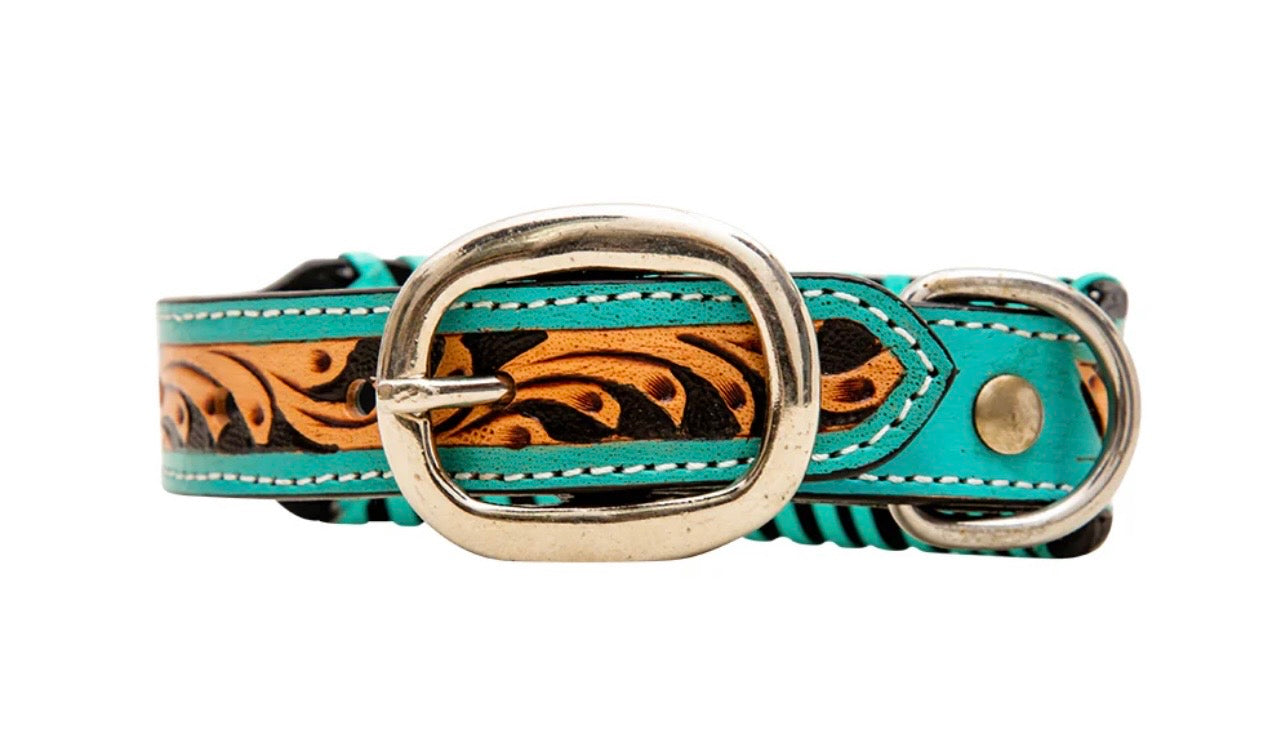 Acety dog collar