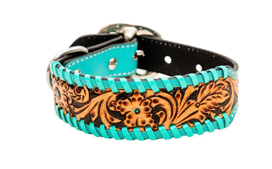 Acety dog collar
