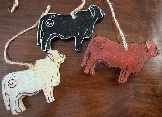 55 Branded Brahman Freshies