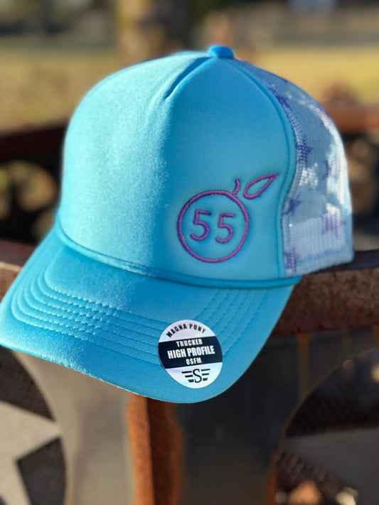 55 Branded purple stars hat